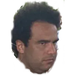 Guilherme Pagani Delboni